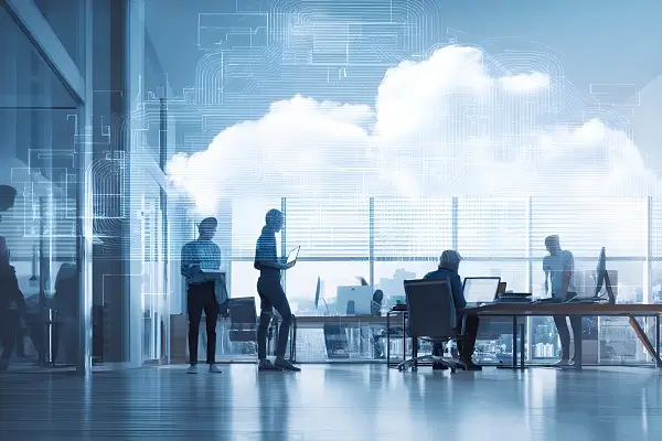 温柚的含义和寓意