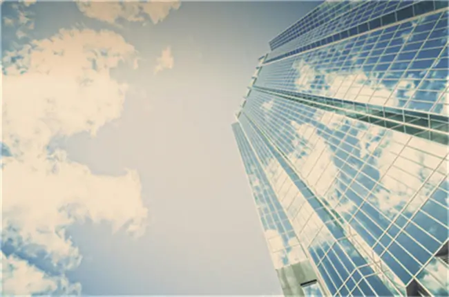 狼少的含义是什么